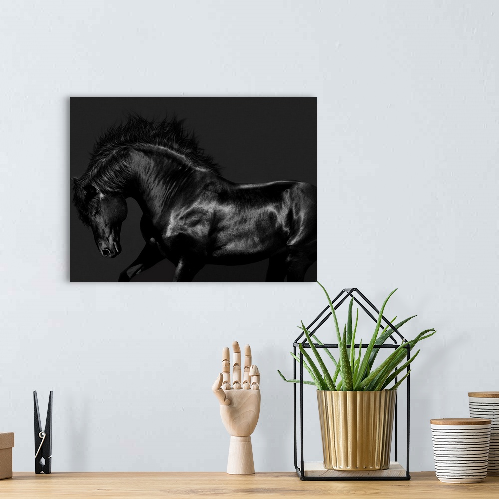 A bohemian room featuring Photograph of a galloping black horse against a black background.