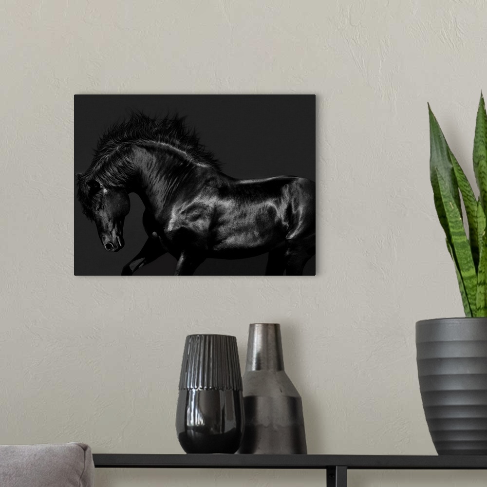 A modern room featuring Photograph of a galloping black horse against a black background.