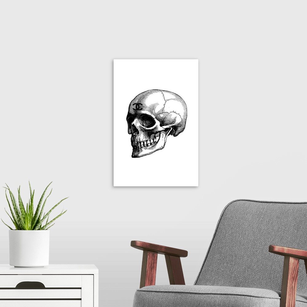 A modern room featuring Black Skull