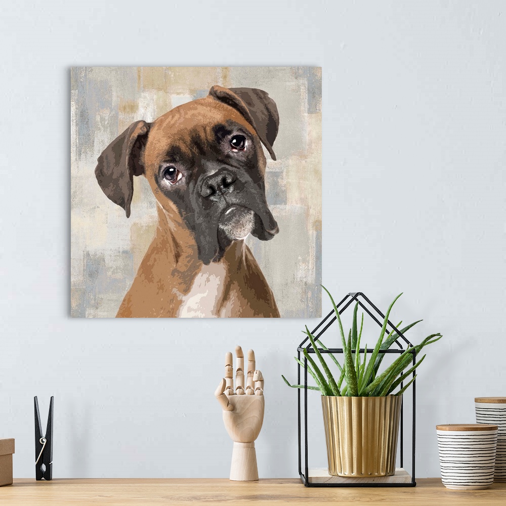 A bohemian room featuring Square decor with a portrait of a Boxer on a layered gray, blue, and tan background.