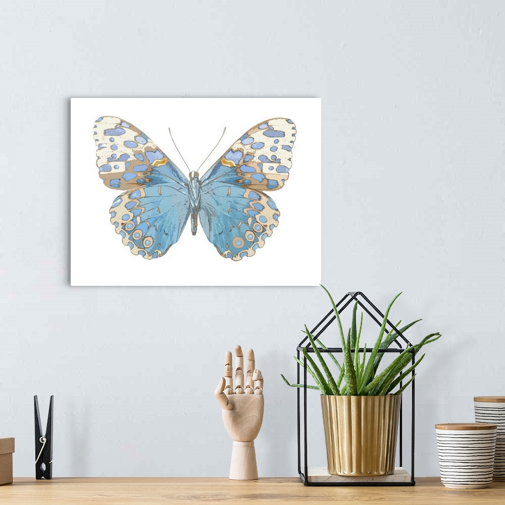 A bohemian room featuring Illustration of a butterfly in shades of blue and brown on a white background.