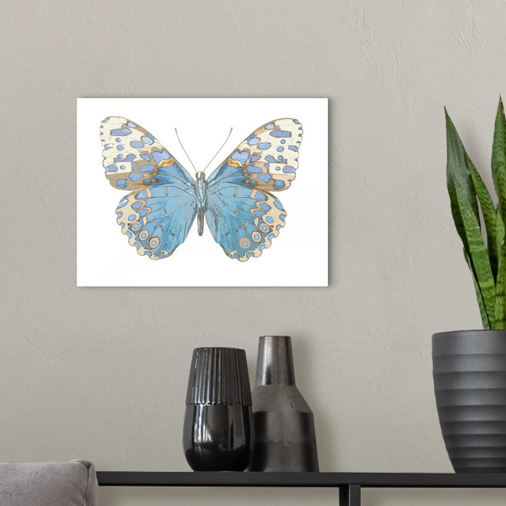 A modern room featuring Illustration of a butterfly in shades of blue and brown on a white background.