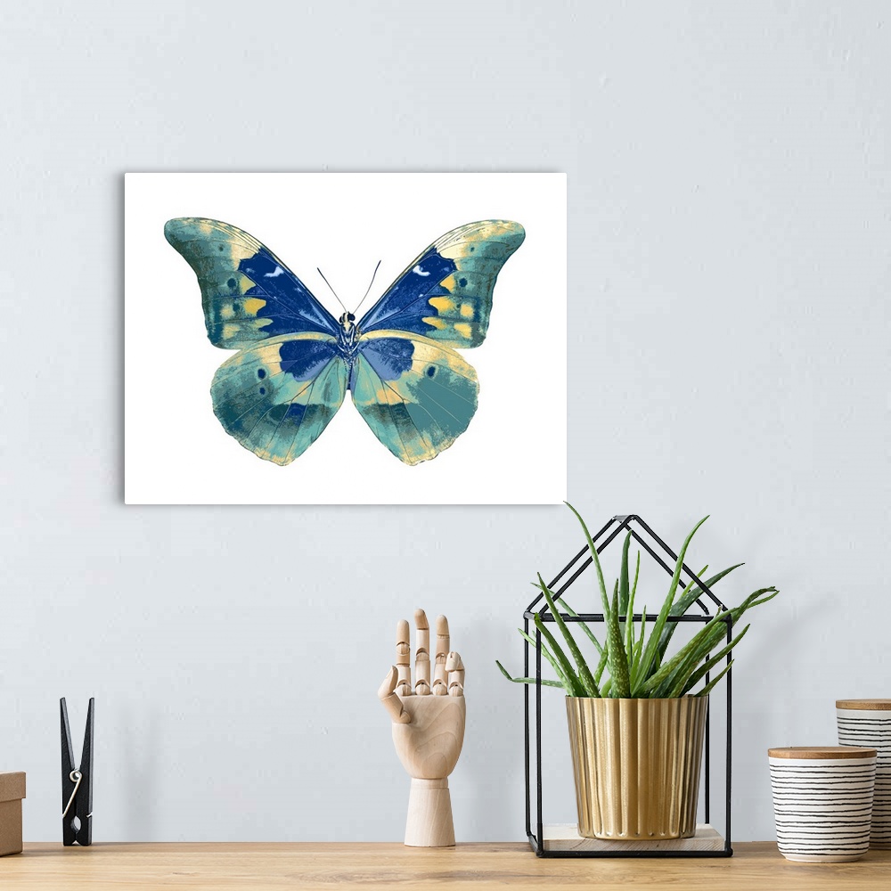 A bohemian room featuring Illustration of a butterfly in shades of blue and gold on a white background.