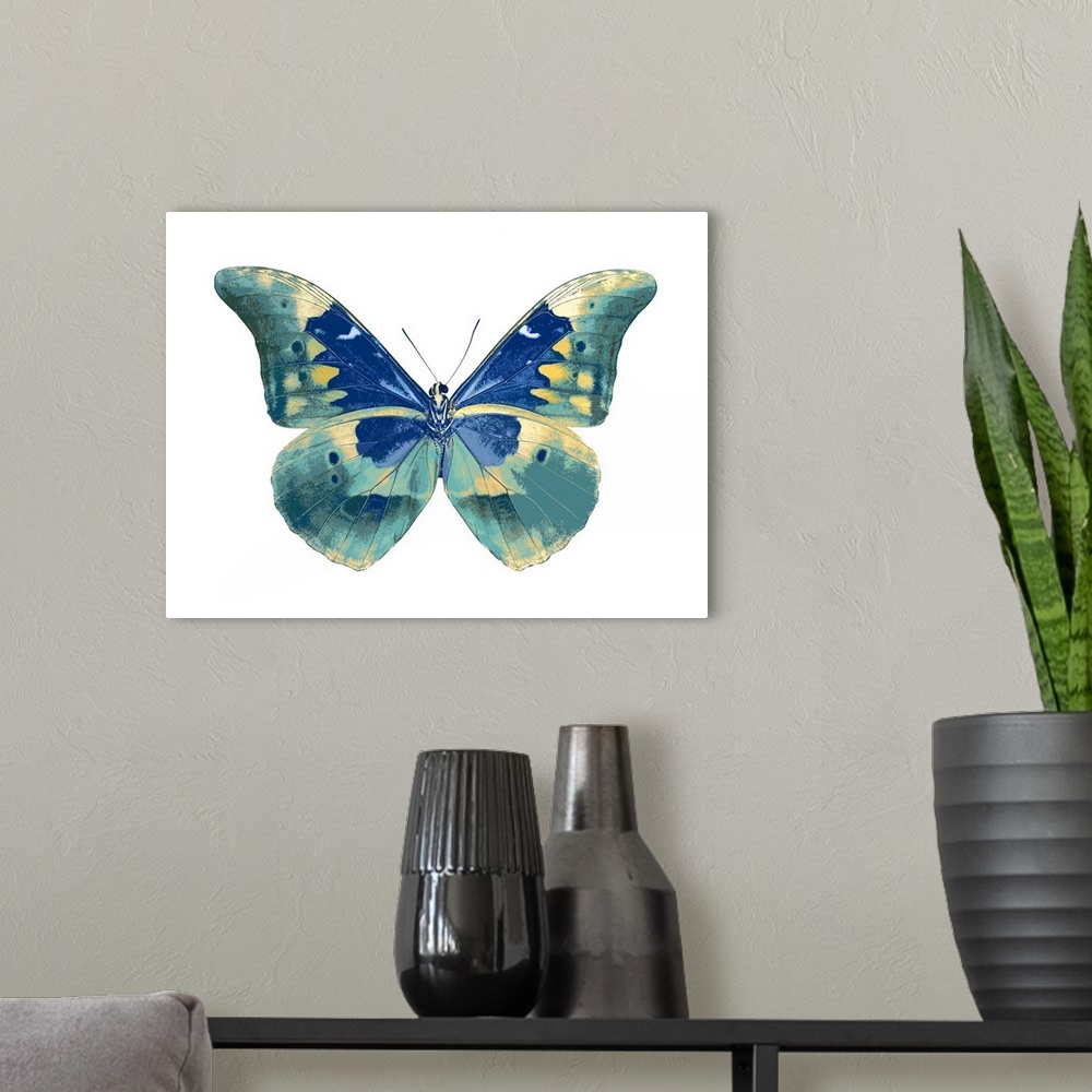 A modern room featuring Illustration of a butterfly in shades of blue and gold on a white background.