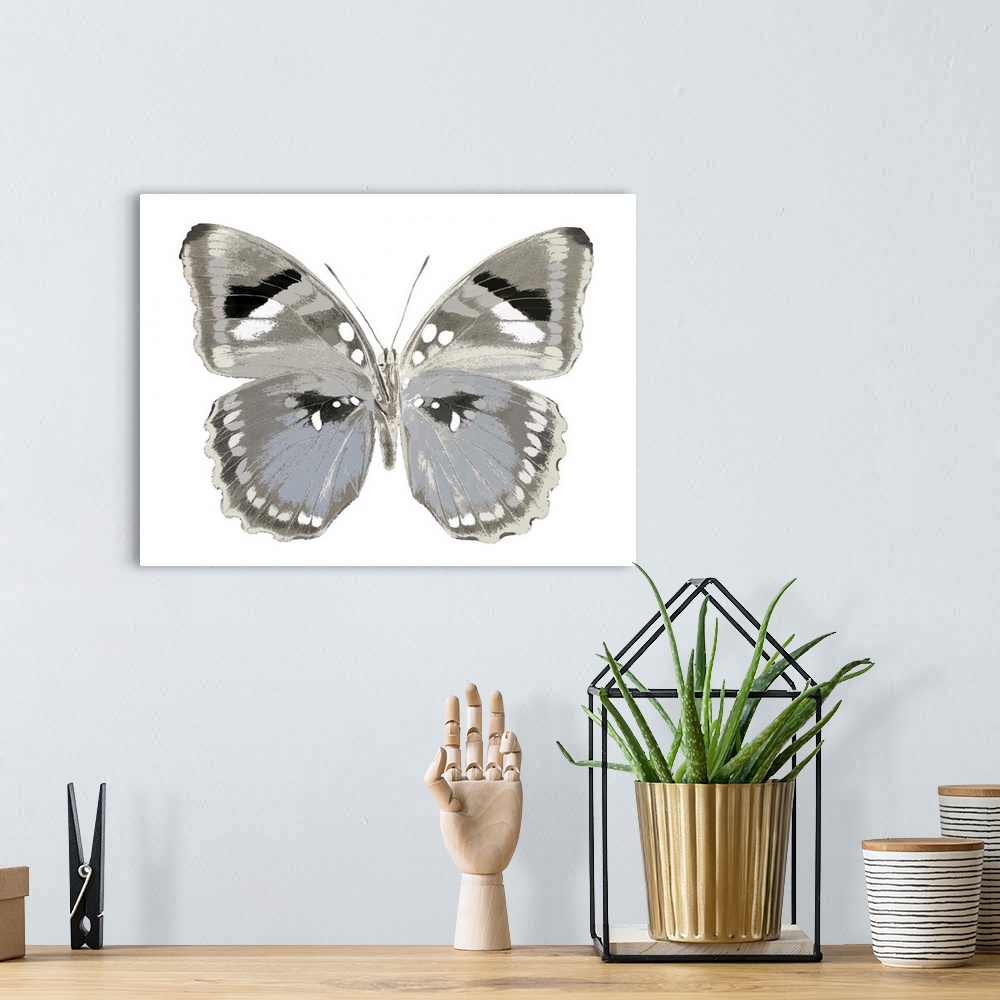 A bohemian room featuring Illustration of a blue, gray, black, and white butterfly on a white background.