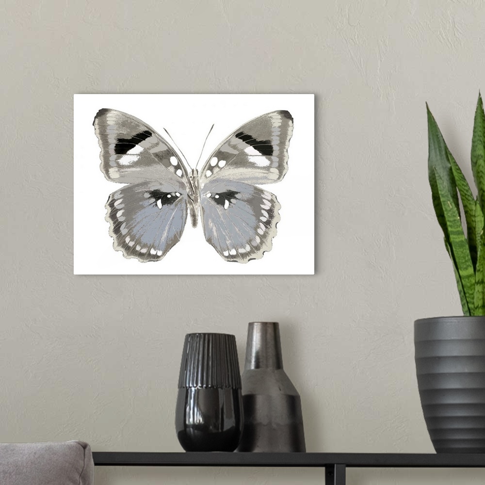 A modern room featuring Illustration of a blue, gray, black, and white butterfly on a white background.