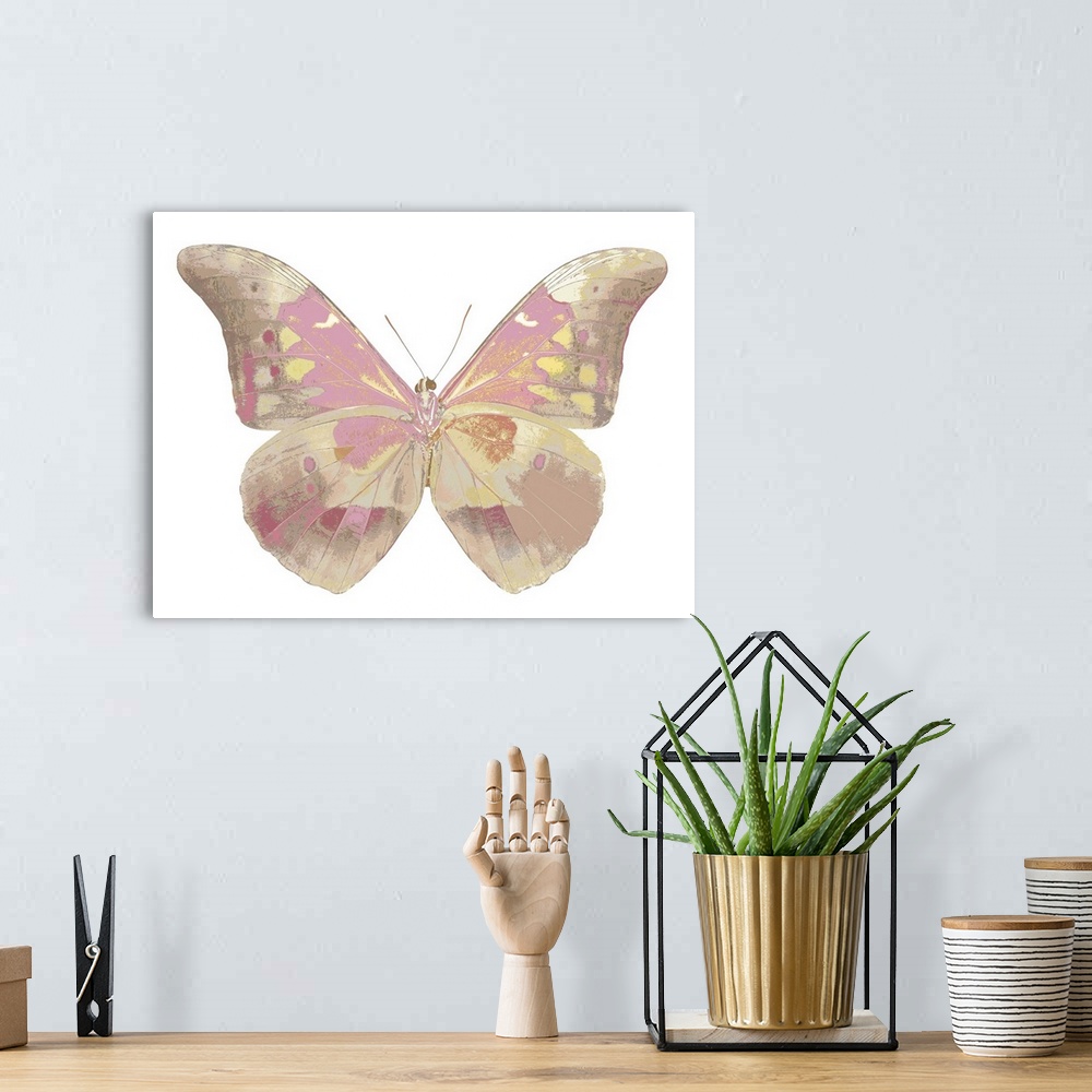 A bohemian room featuring Illustration of a butterfly in shades of pink and gold on a white background.