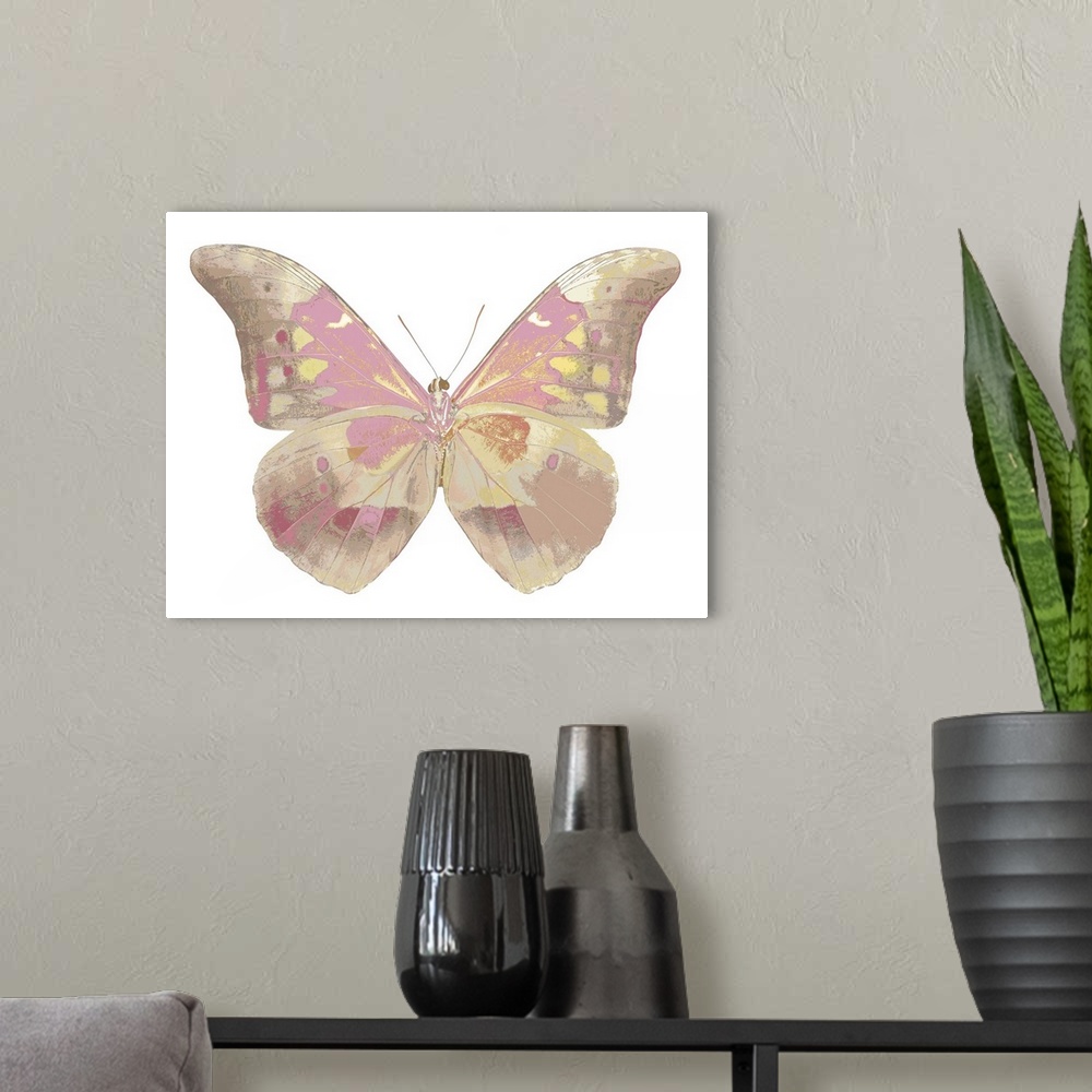 A modern room featuring Illustration of a butterfly in shades of pink and gold on a white background.