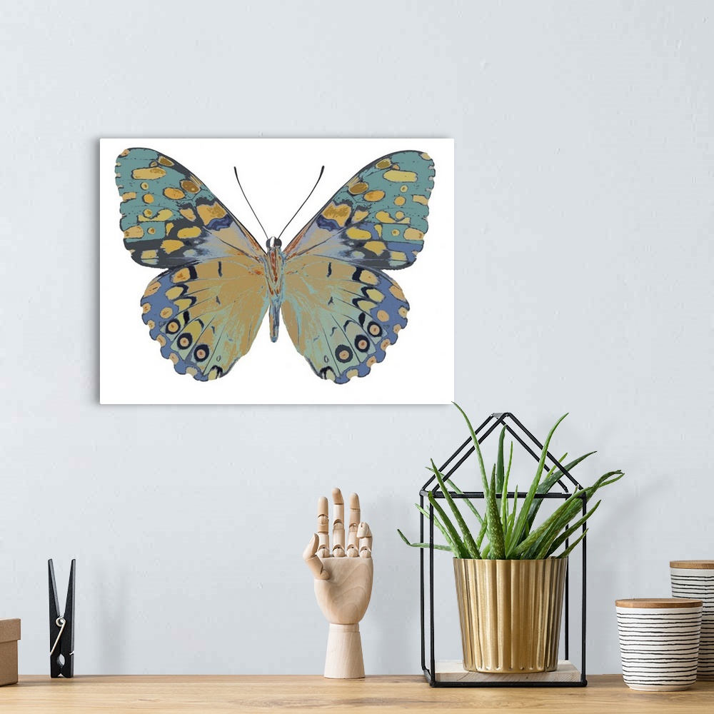 A bohemian room featuring Illustration of a butterfly in shades of blue and gold on a white background.