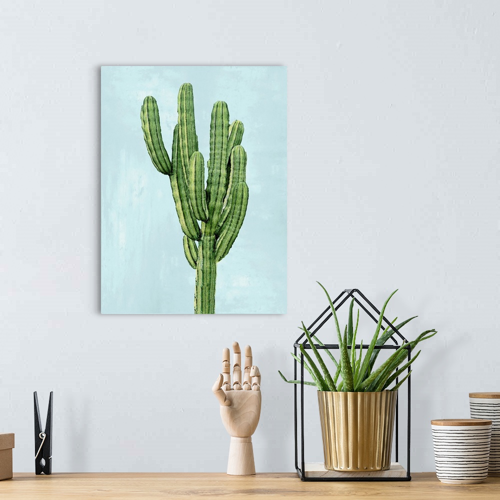 A bohemian room featuring Cactus on Blue I