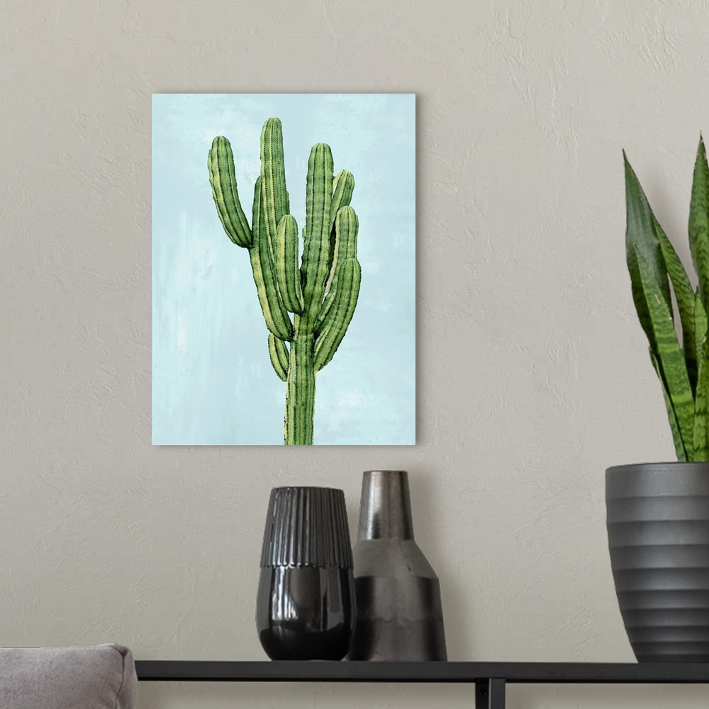 A modern room featuring Cactus on Blue I