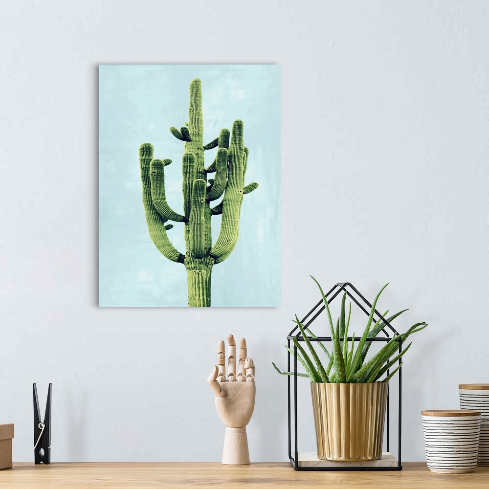 A bohemian room featuring Cactus on Blue II
