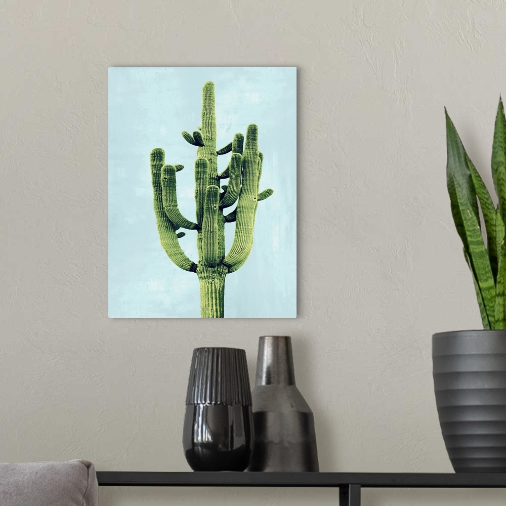A modern room featuring Cactus on Blue II