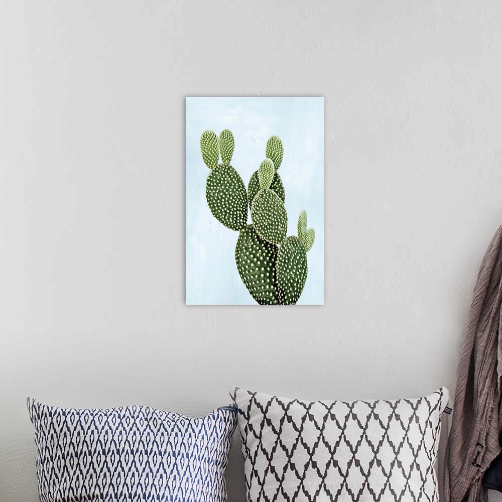 A bohemian room featuring Cactus on Blue V