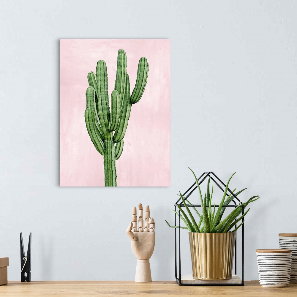 A bohemian room featuring Cactus on Pink I