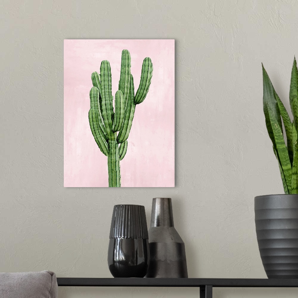 A modern room featuring Cactus on Pink I