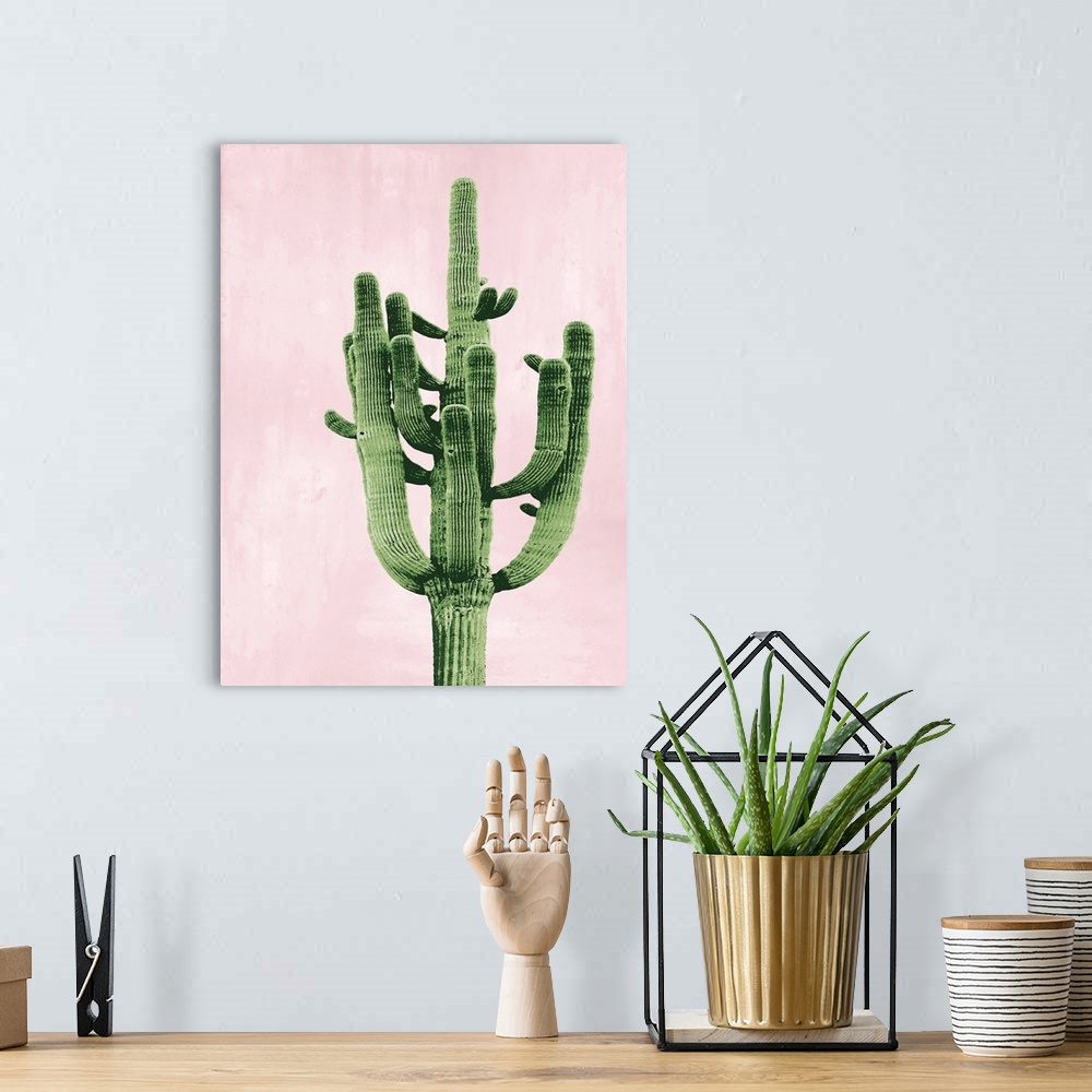 A bohemian room featuring Cactus on Pink II