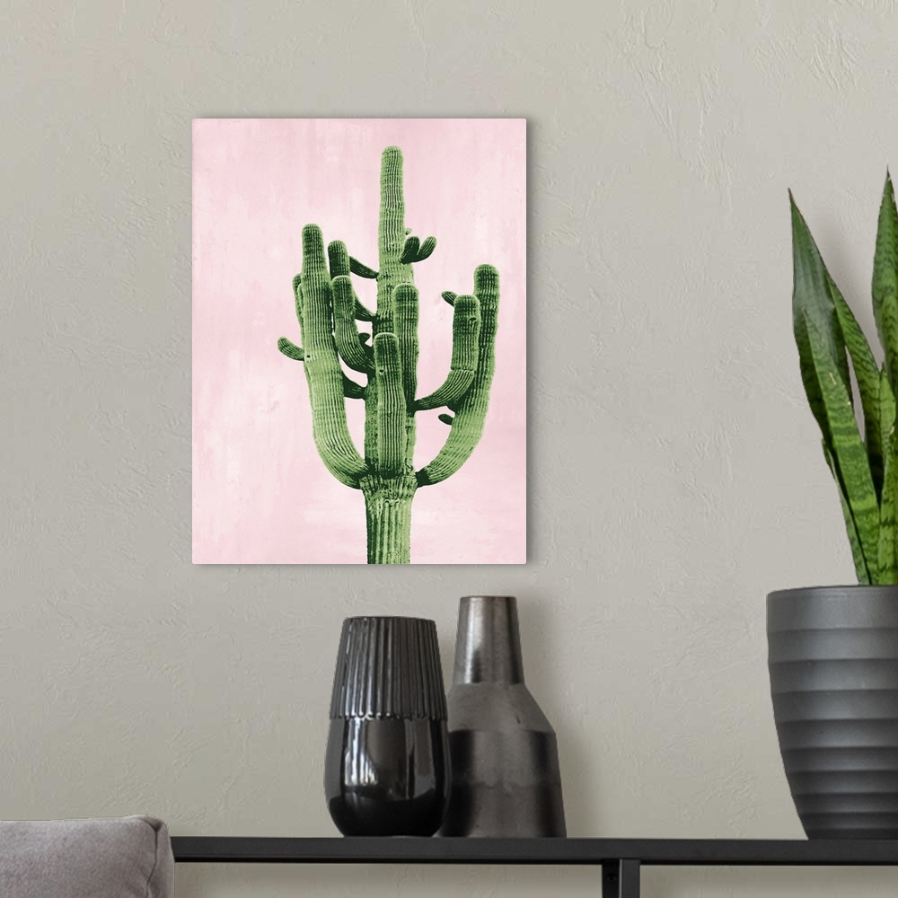 A modern room featuring Cactus on Pink II