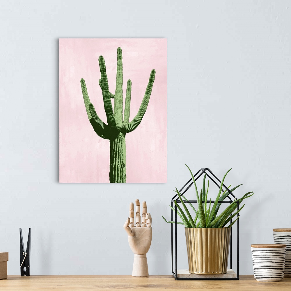 A bohemian room featuring Cactus on Pink III