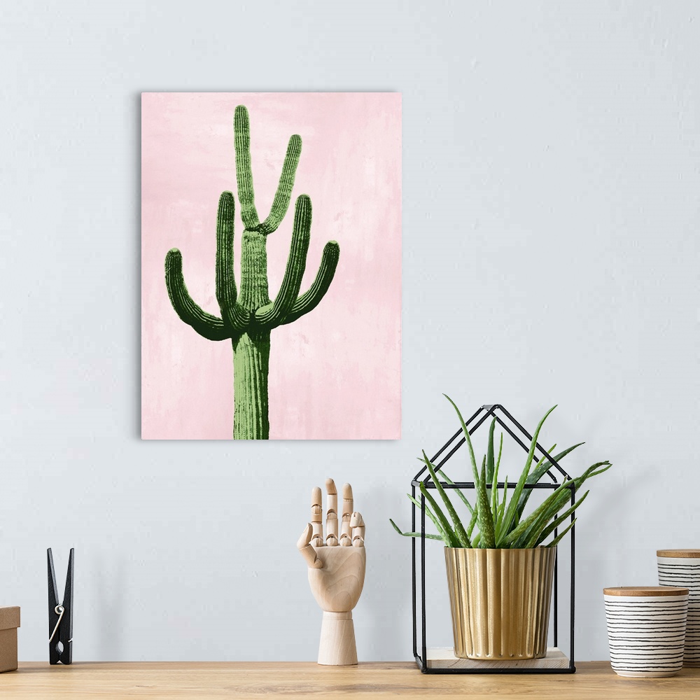 A bohemian room featuring Cactus on Pink IV