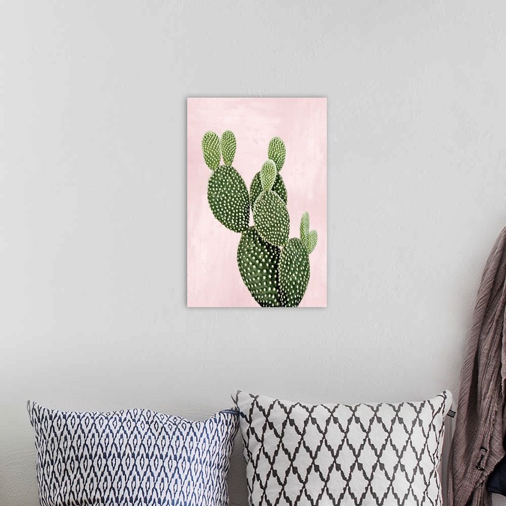 A bohemian room featuring Cactus on Pink V