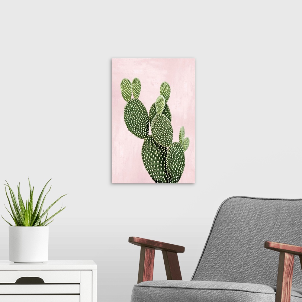 A modern room featuring Cactus on Pink V