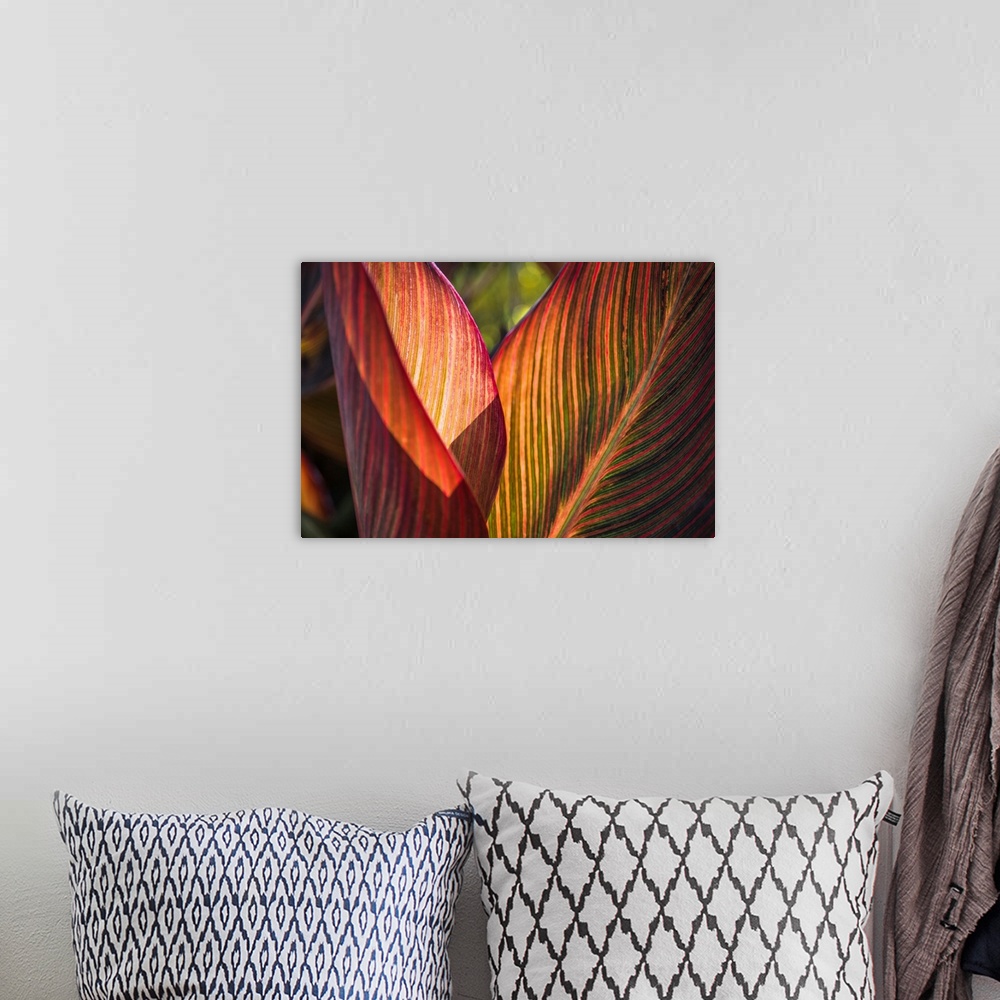 A bohemian room featuring Canna Lily Leaves I