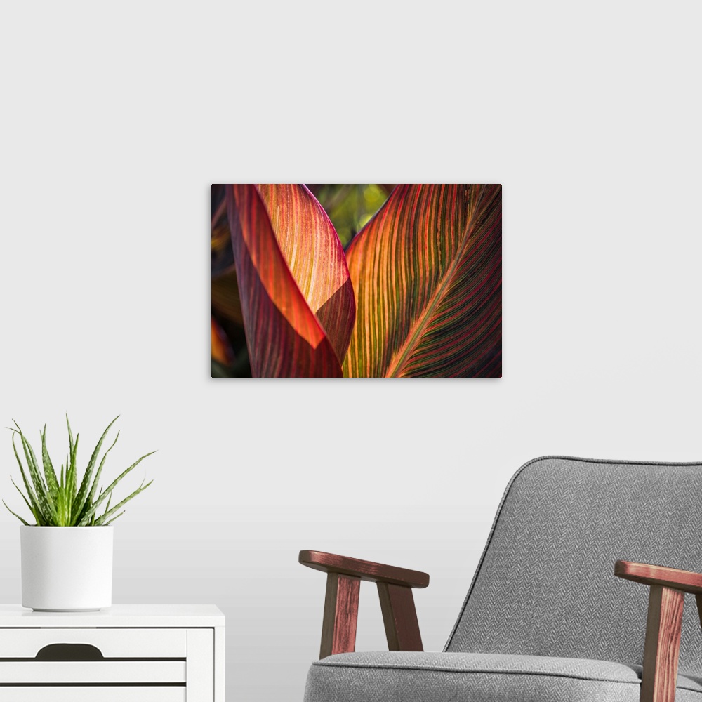 A modern room featuring Canna Lily Leaves I