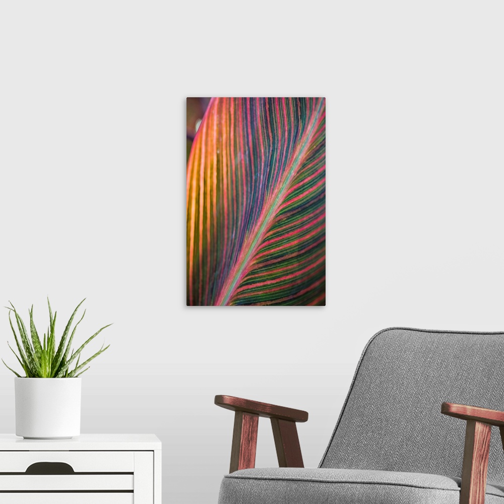 A modern room featuring Canna Lily Leaves II