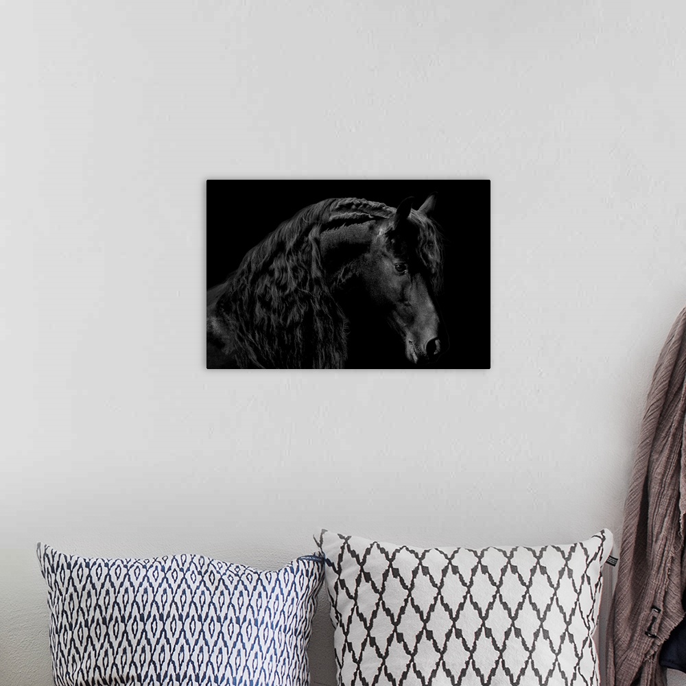 A bohemian room featuring Photograph of a solemn black stallion against a black background.