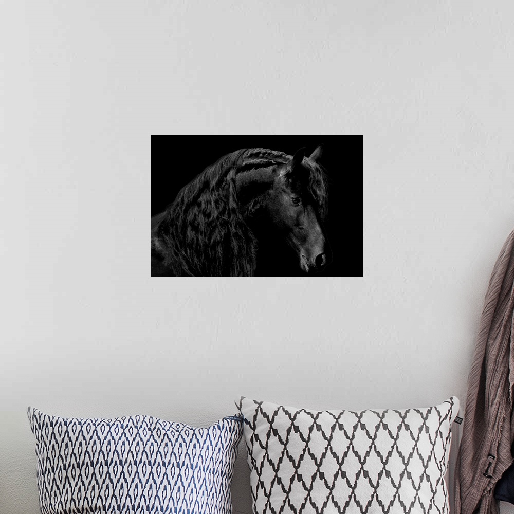 A bohemian room featuring Photograph of a solemn black stallion against a black background.