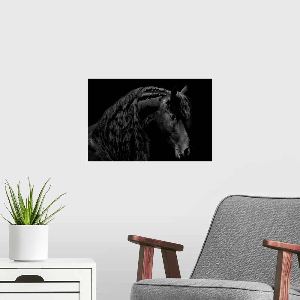 A modern room featuring Photograph of a solemn black stallion against a black background.