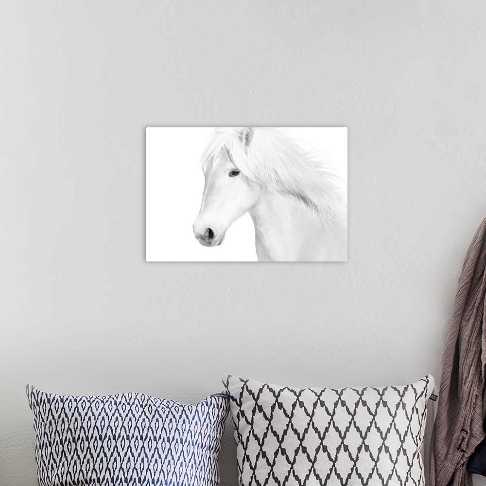 A bohemian room featuring Medium shot photograph of a white stallion with a flowing mane against a white background.