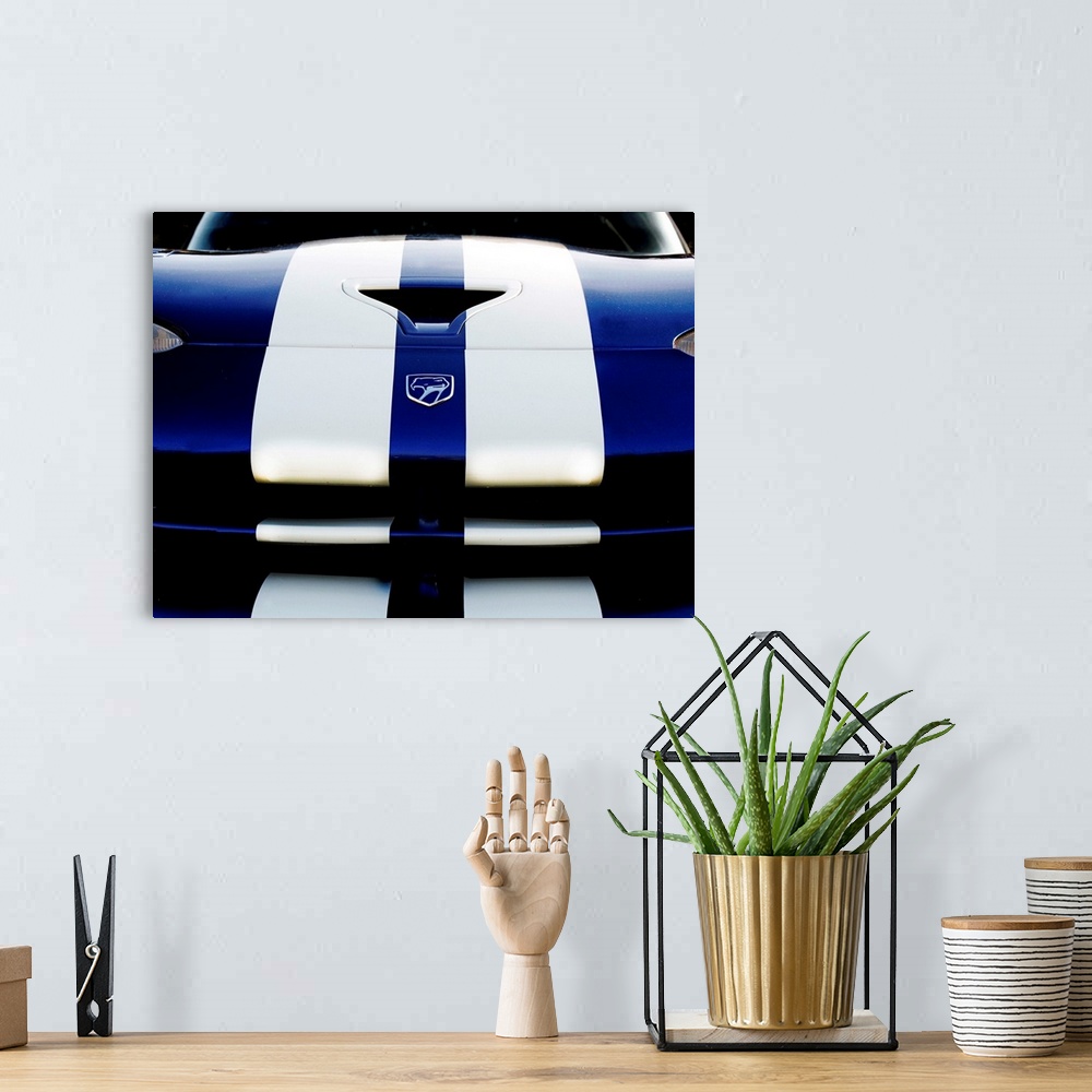 A bohemian room featuring Close-up photograph of the front of a blue Dodge Viper 4 with two white stripes running down it.