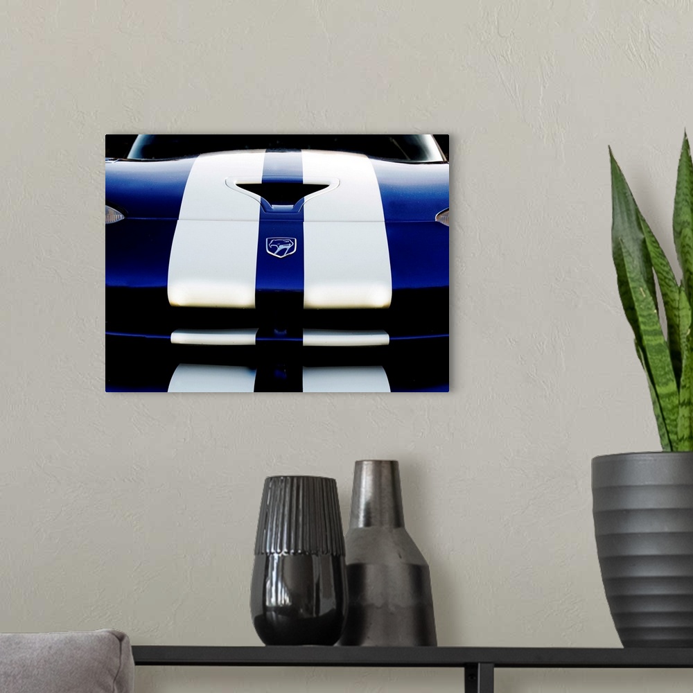 A modern room featuring Close-up photograph of the front of a blue Dodge Viper 4 with two white stripes running down it.