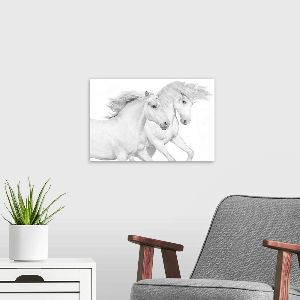 A modern room featuring Photograph of galloping white horses against a white background.