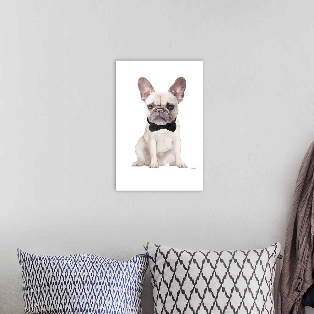 A bohemian room featuring Frenchie II
