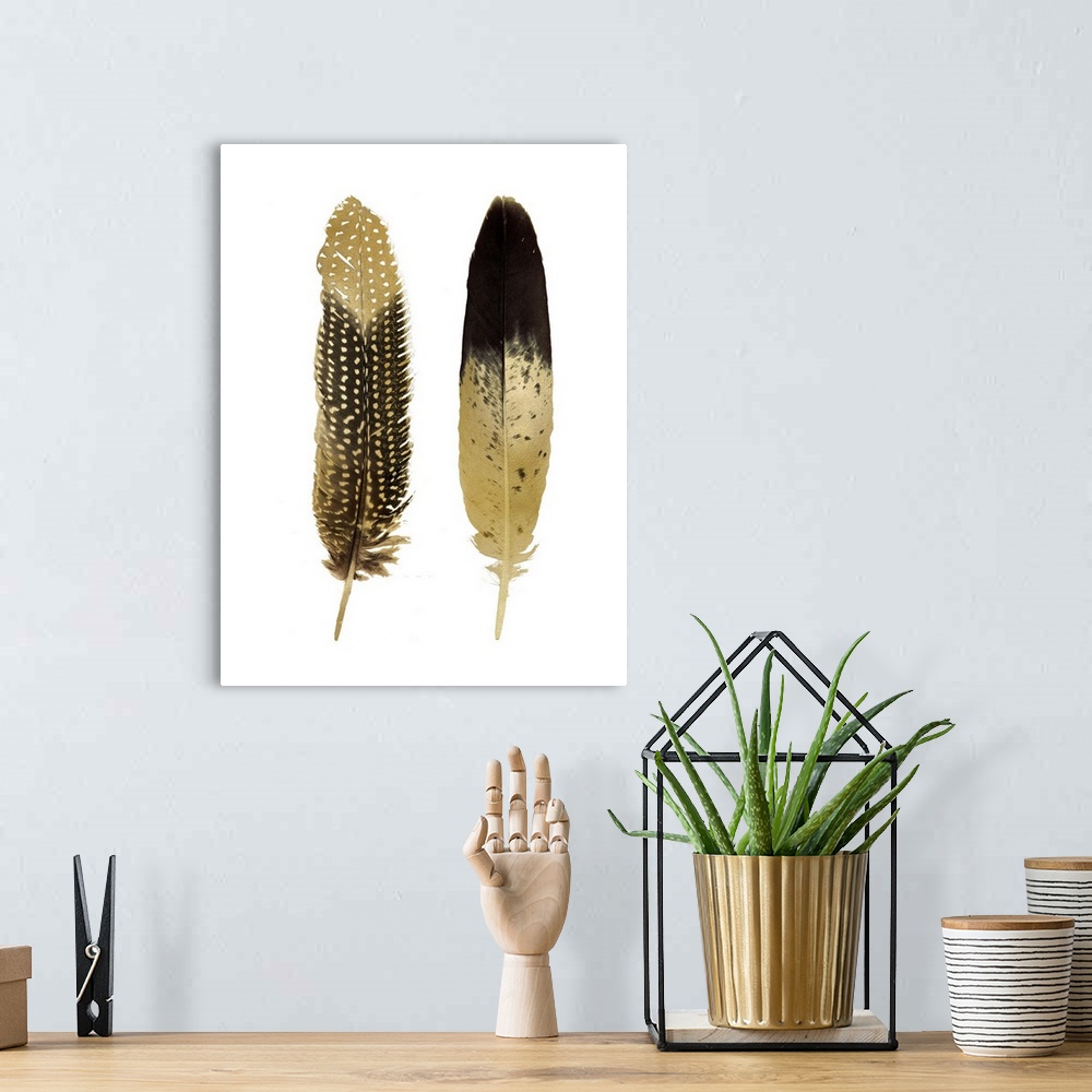 A bohemian room featuring Illustration of two black and metallic gold feathers on a white background.
