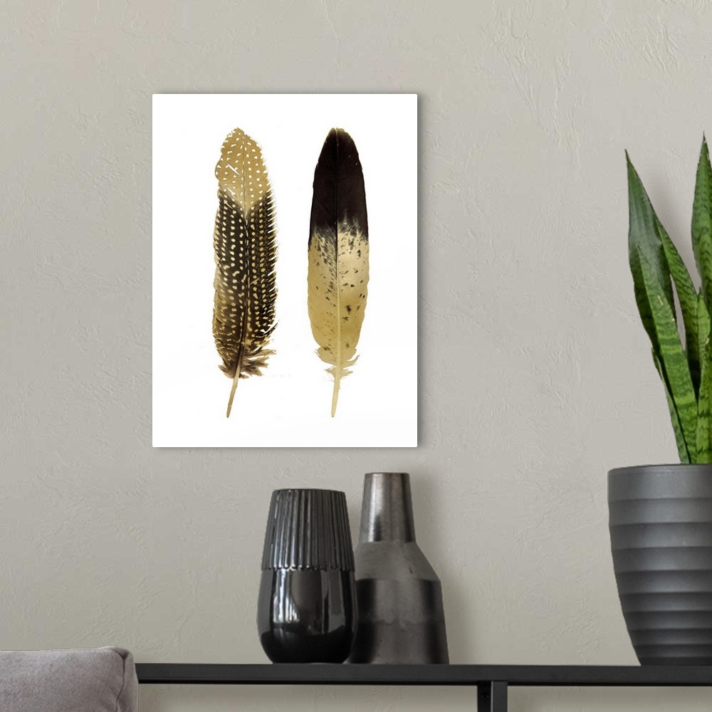 A modern room featuring Illustration of two black and metallic gold feathers on a white background.