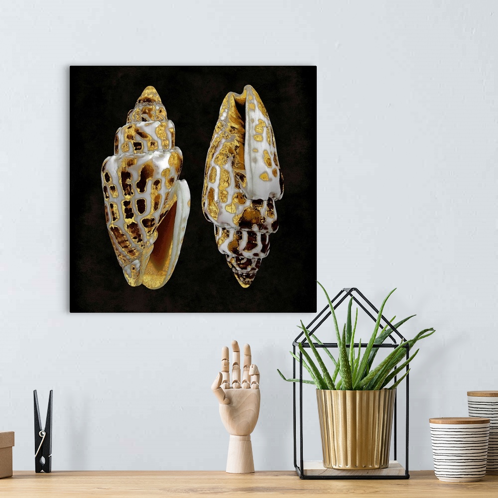 A bohemian room featuring Square decor with gold and white seashells on a black background.