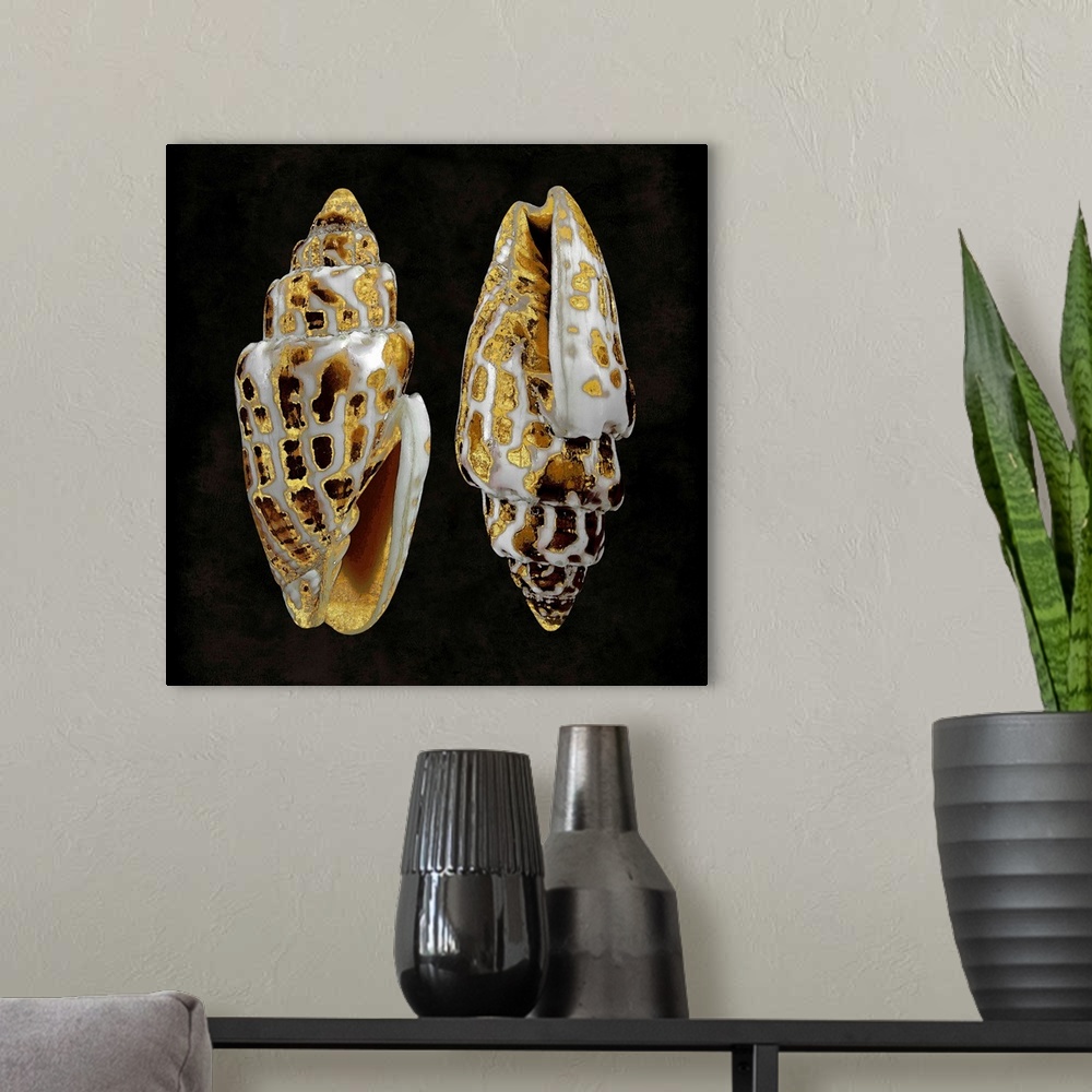 A modern room featuring Square decor with gold and white seashells on a black background.