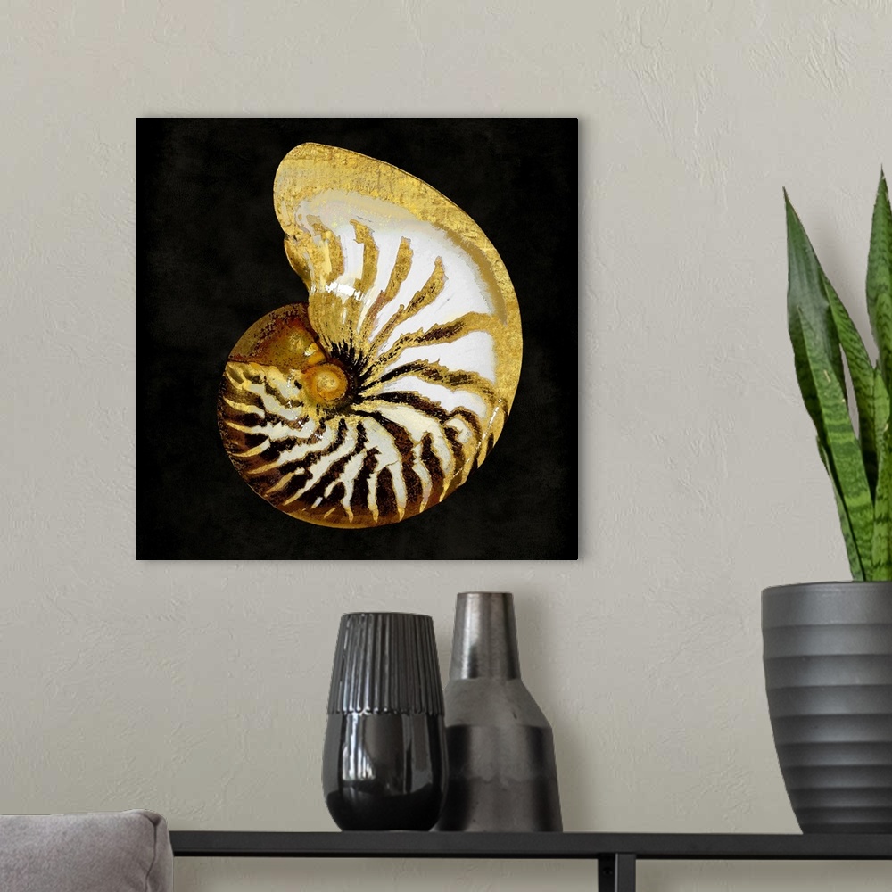 A modern room featuring Square decor with a gold and white seashell on a black background.