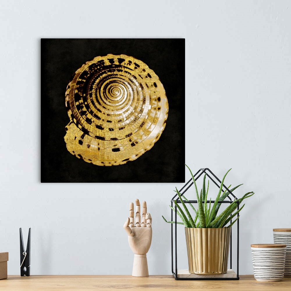 A bohemian room featuring Square decor with a gold and white seashell on a black background.