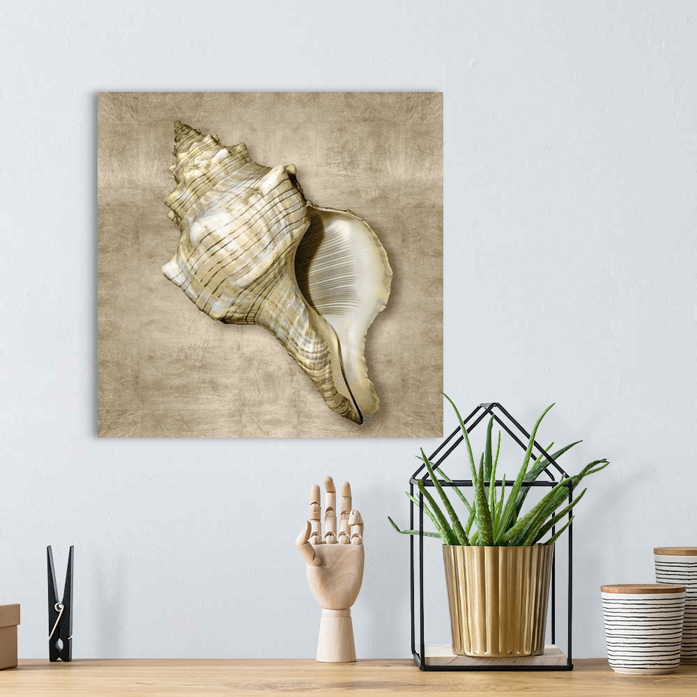 A bohemian room featuring Square beach decor that has a conch shell with gold flakes on a neutral colored background.