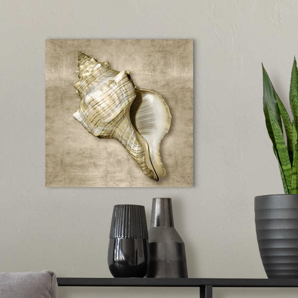 A modern room featuring Square beach decor that has a conch shell with gold flakes on a neutral colored background.