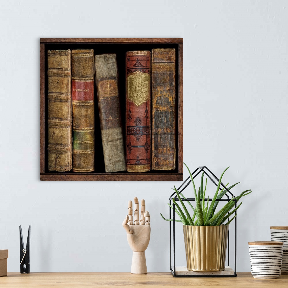 A bohemian room featuring Square decor with antique books on a shelf.