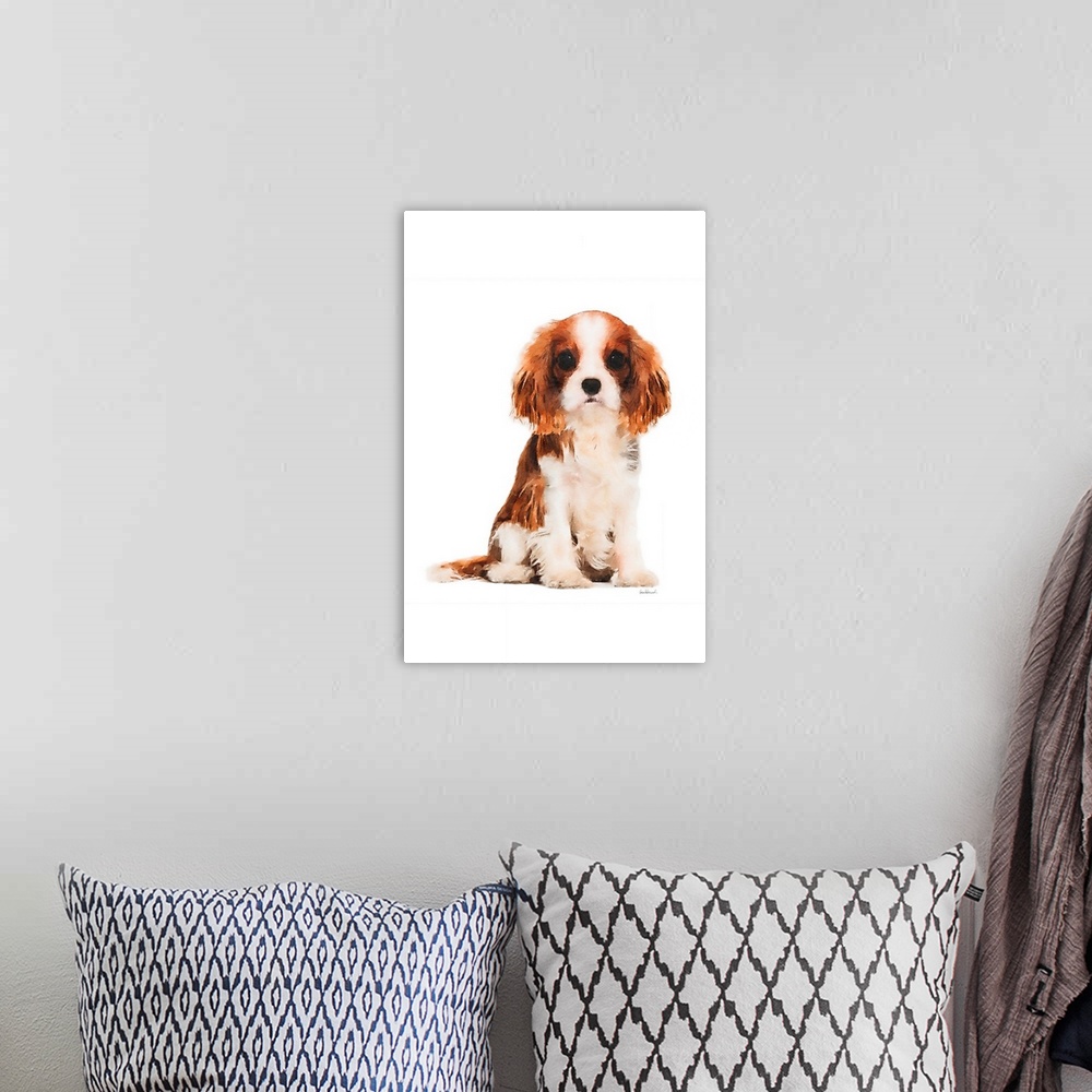 A bohemian room featuring King Charles Spaniel Puppy