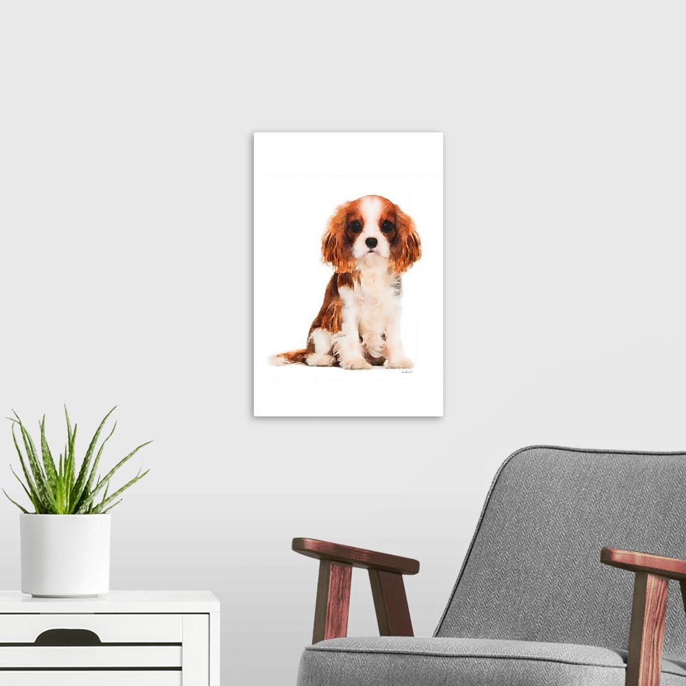 A modern room featuring King Charles Spaniel Puppy