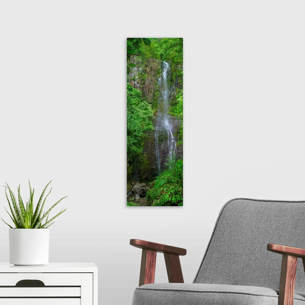 A modern room featuring Tall panoramic photograph of a waterfall in Maui surrounded by lush greenery.