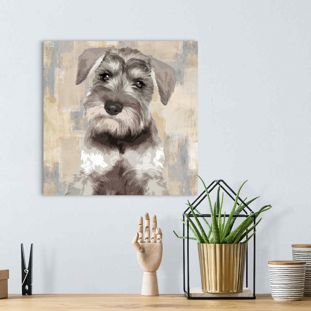 A bohemian room featuring Square decor with a portrait of a Miniature Schnauzer on a layered gray, blue, and tan background.